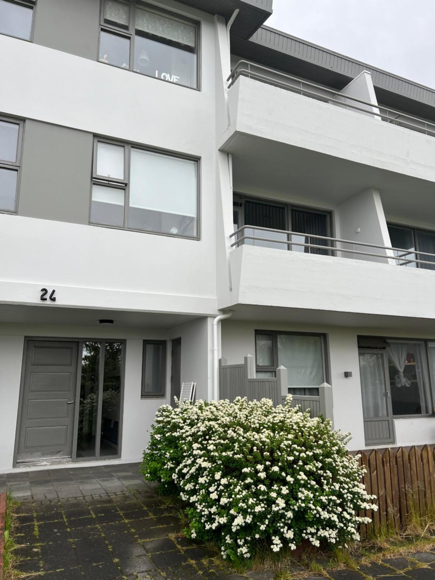 Viggsson Apartment Reykjavík Kültér fotó