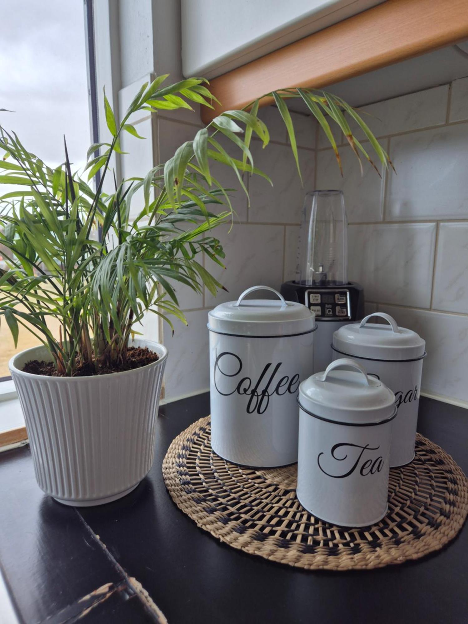 Viggsson Apartment Reykjavík Kültér fotó